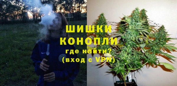 Альфа ПВП Бугульма