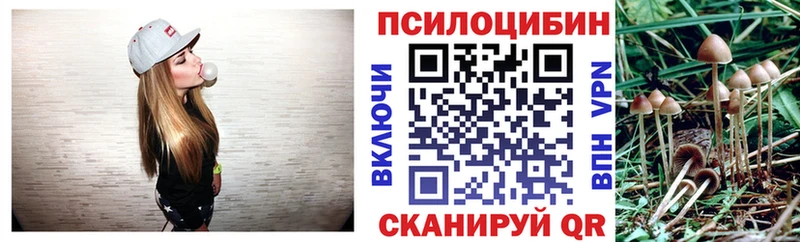 Псилоцибиновые грибы GOLDEN TEACHER  цена наркотик  Губкинский 